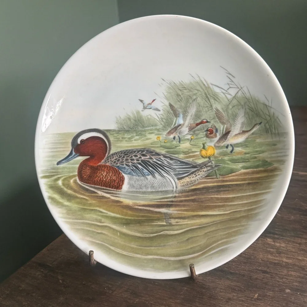 Vintage JKW Western Germany John Gould Garganey Duck Porcelain Decorative Plate